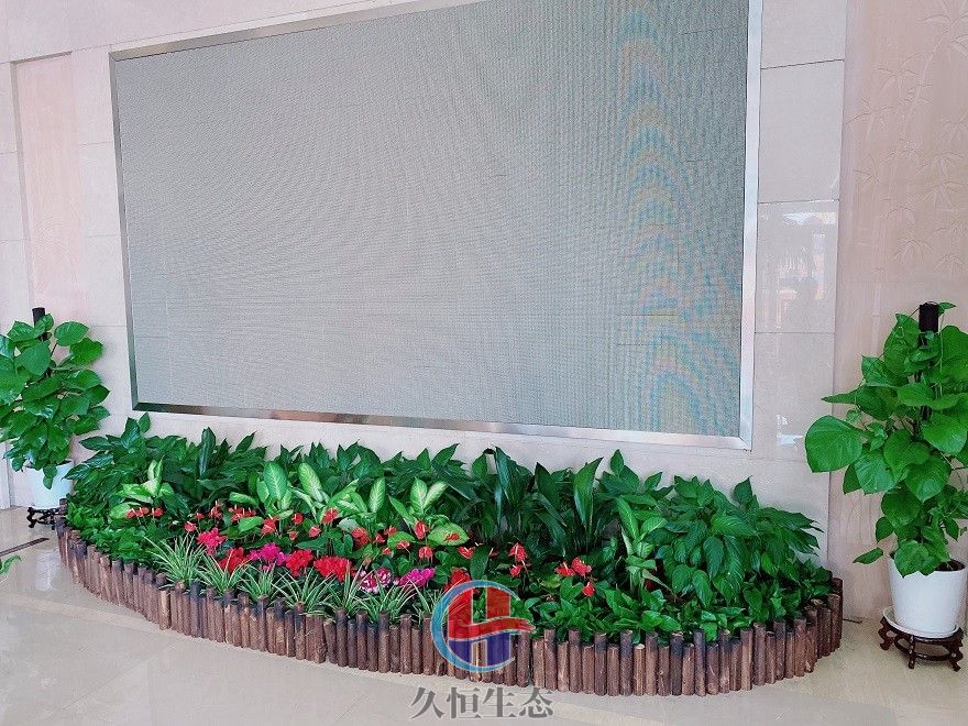路桥企业大厅显示屏组合花卉绿植摆放